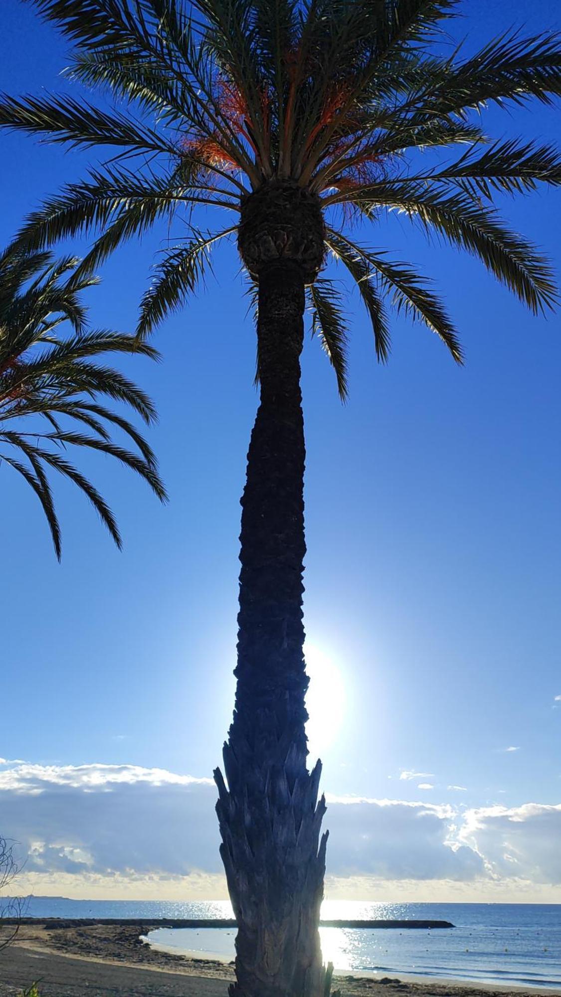 Apartamento Caravaca サンタ・ポラ エクステリア 写真